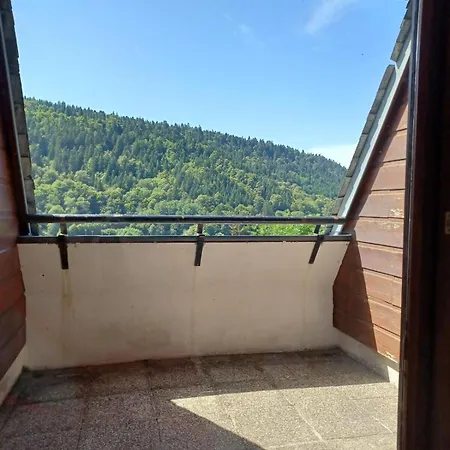 Cosy Mont-dore Avec Vue, Balcon, Parking * Le Mont-Dore
