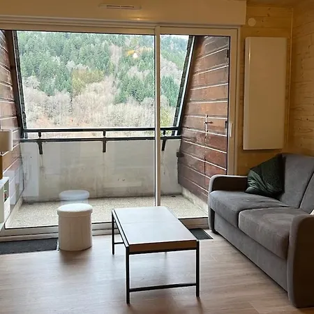 Cosy Mont-dore Avec Vue, Balcon, Parking *