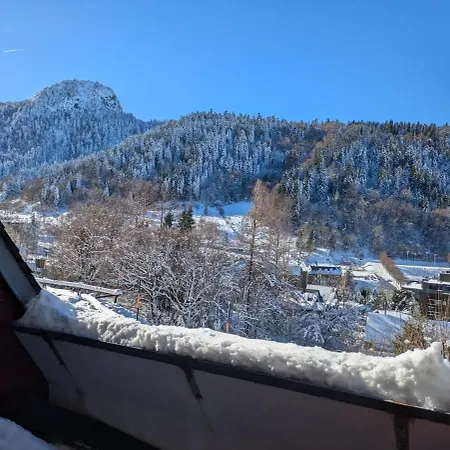 Cosy Mont-dore Avec Vue, Balcon, Parking Apartment