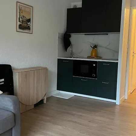 Apartment Cosy Mont-dore Avec Vue, Balcon, Parking Le Mont-Dore